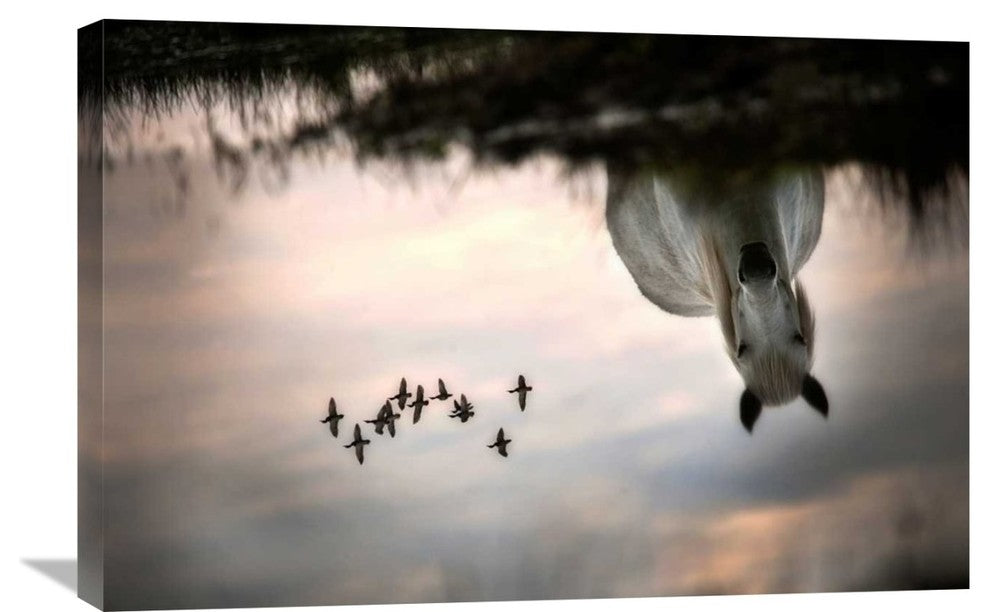 "Fly" Stretched Canvas Giclee by Milan Malovrh, 30"x20"