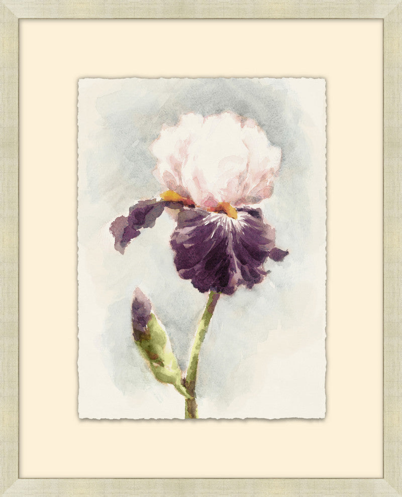 Purple Iris 1, Giclee Reproduction Artwork