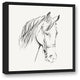 "Calm Horse Sketch" Black Floating Framed Canvas, 20"x20"
