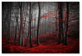 Samanta 'Bloody River' Canvas Art, 47 x 30