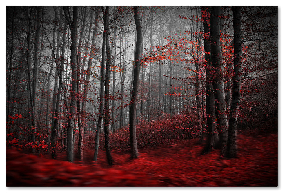 Samanta 'Bloody River' Canvas Art, 47 x 30