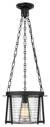 Z-LITE 1-Light Pendant, Matte Black