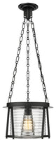 Z-LITE 1-Light Pendant, Matte Black