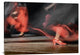 "Flame(Nco)" Stretched Canvas Giclee by Izidor Gasperlin, 40x28"