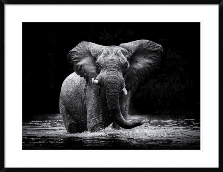 "Power 1" Framed Digital Print by Gorazd Golob, 38"x29"