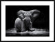 "Power 1" Framed Digital Print by Gorazd Golob, 38"x29"