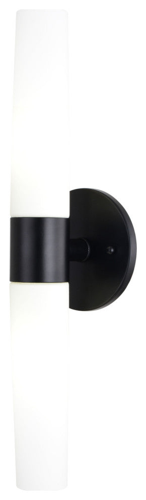 Elliot 2 Light Black Bathroom Vanity Wall Sconce Fixture White Glass