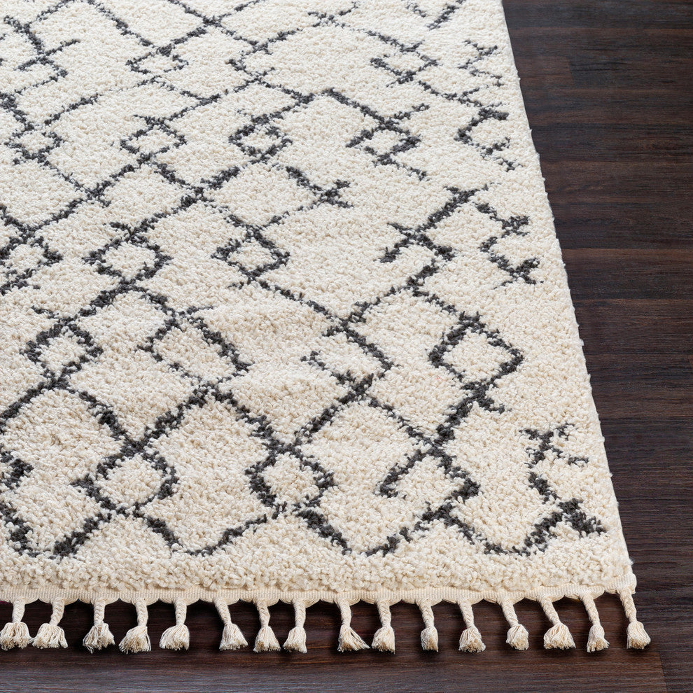 Berber Shag Bohemian Global Charcoal, Beige Area Rug, 2'x3'