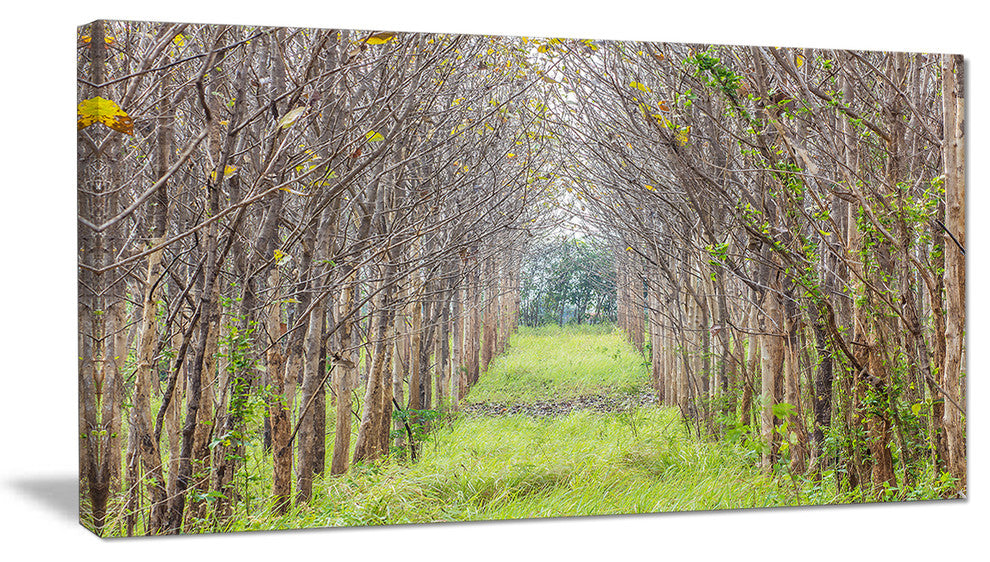 "Pathway Through Fall Green Trees" Landscape Photo Wall Art, 32"x16"