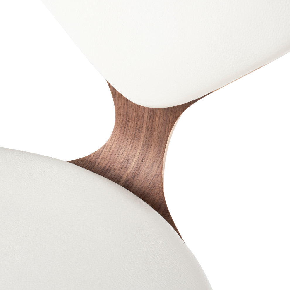 Satine Dining Chair in American Walnut and White Leather by Nuevo