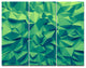 Trendy Emerald Green Background, Abstract Triptych Canvas Print, 36x28, 3 Panels