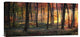"Autumn Woodland Sunrise" Stretched Canvas Giclee by Photokes, 22x10"