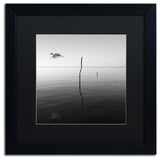 "Fly" Matted Framed Canvas Art by Moises Levy