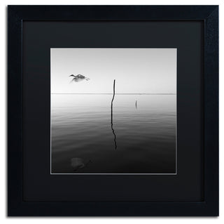 "Fly" Matted Framed Canvas Art by Moises Levy