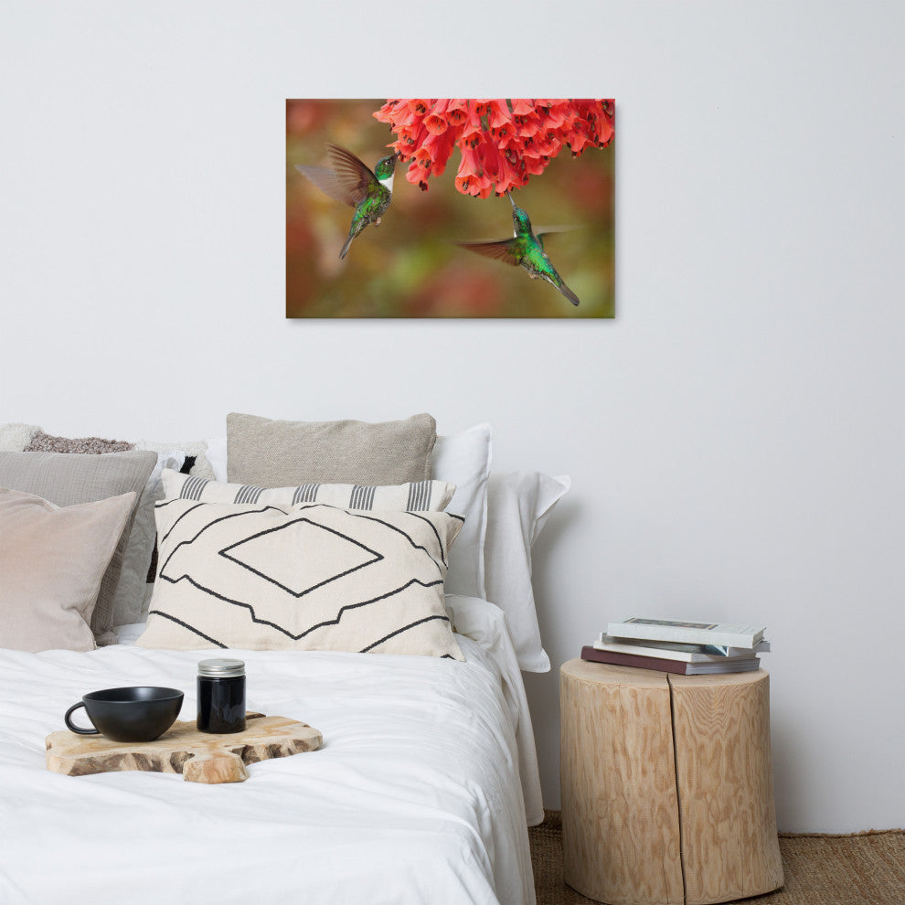 Hummingbirds Reddish-Orange Flowers Animal Wildlife Photo Canvas Wall Art Print, 24" X 36"