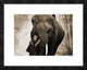 "Healing Embrace" Framed Digital Print by Moreau, 26"x20"