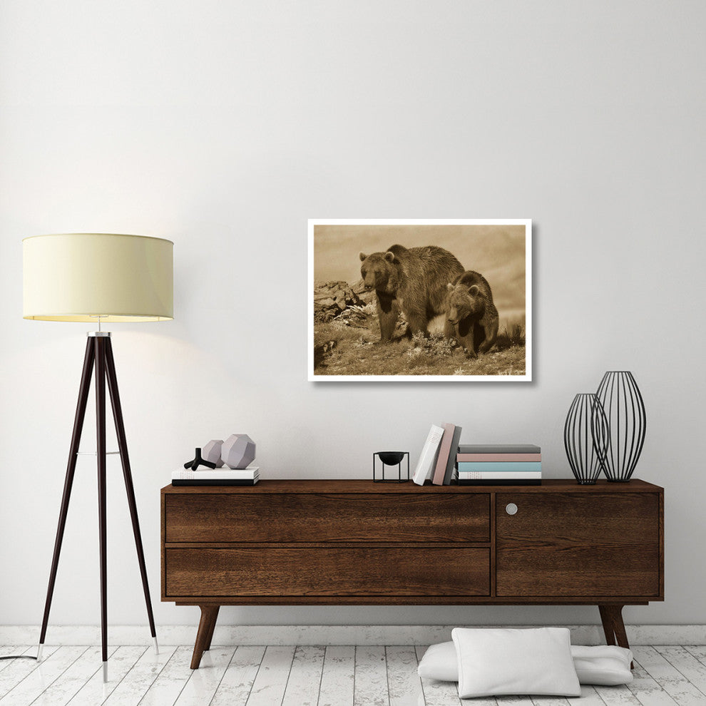 "Grizzly Bear mother with one year old cub, North America" Paper Art, 38"x27.56"