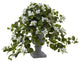 Bougainvillea With Decorative Urn