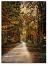 Jai Johnson 'Autumn Forest 3' Canvas Art, 47 x 35