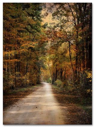 Jai Johnson 'Autumn Forest 3' Canvas Art, 47 x 35