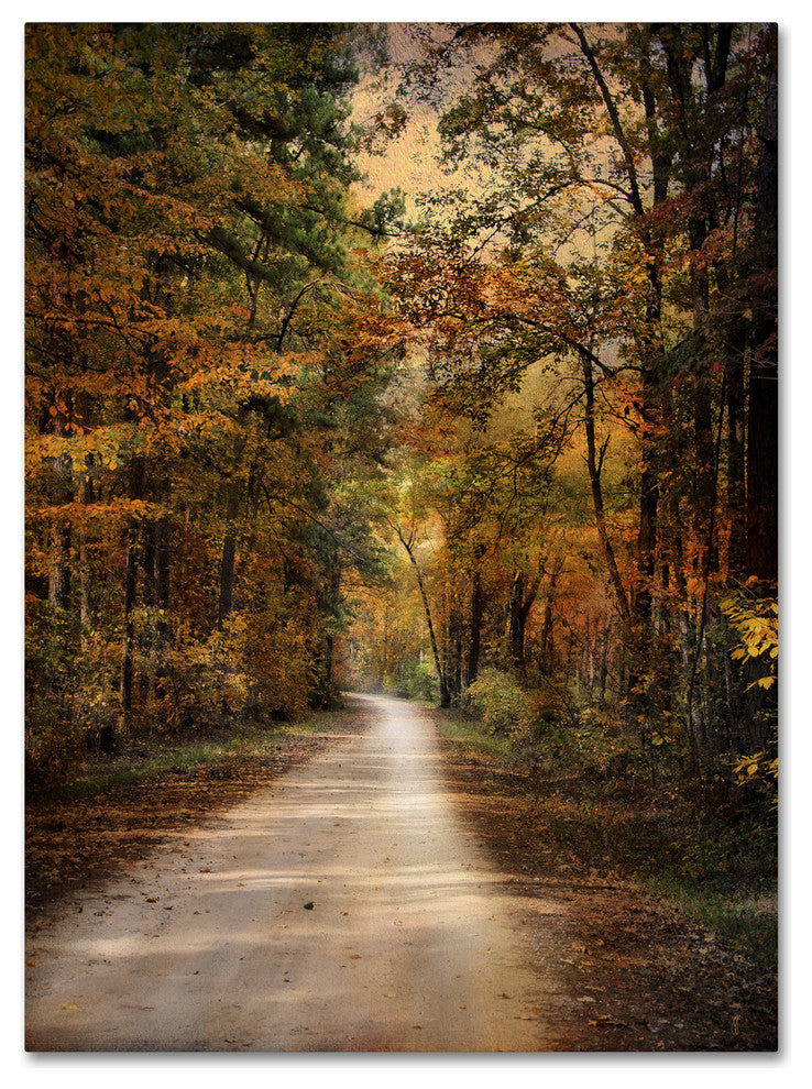 Jai Johnson 'Autumn Forest 3' Canvas Art, 47 x 35