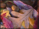 Acorns, Oak, Cherry and Sumac, Fall, Petit Jean State Park, Arkansas, 32"x24"