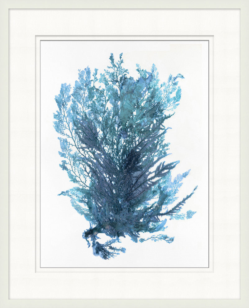 Indigo Seagrass 4, Giclee Reproduction Artwork