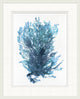 Indigo Seagrass 4, Giclee Reproduction Artwork