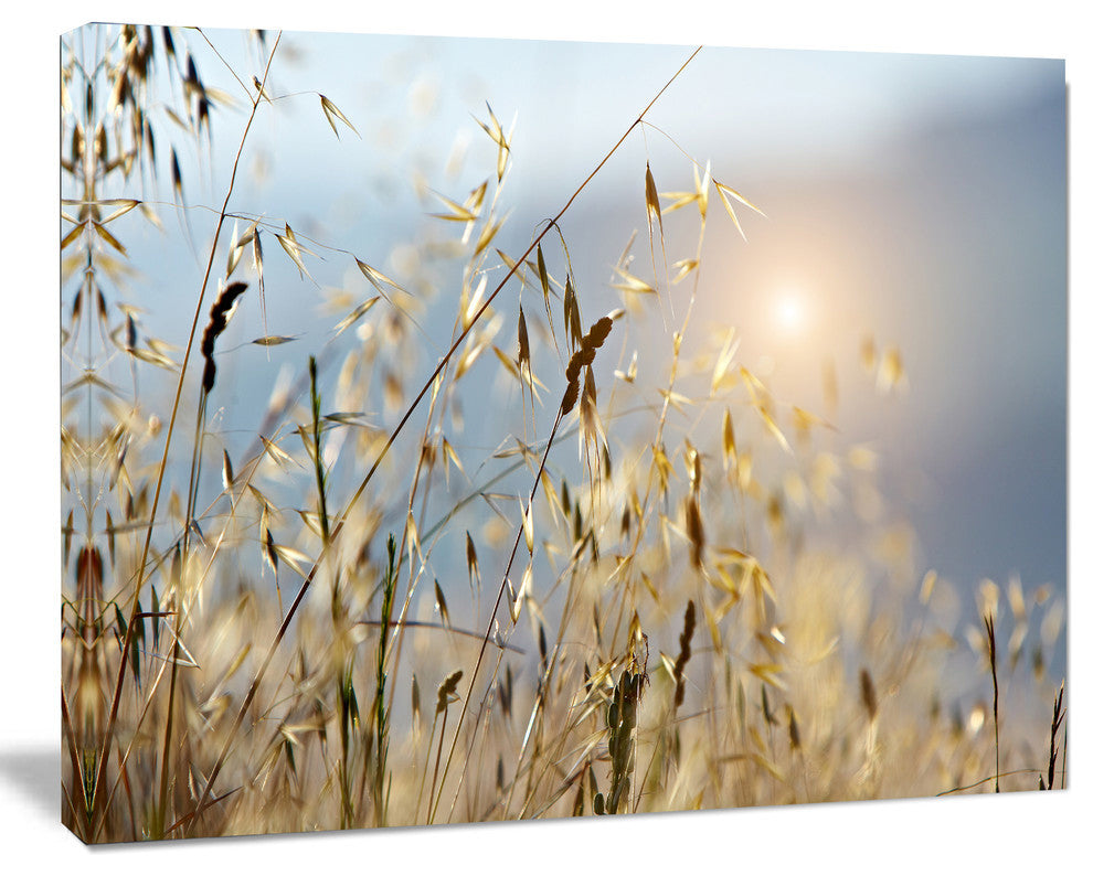 Typical Tuscany Sunset Italy, Landscape Canvas Art Print, 40"x30"