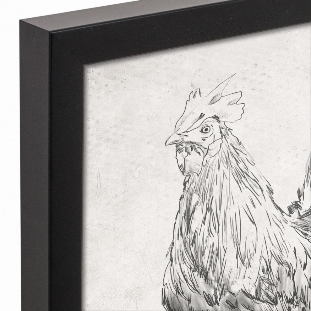 Sketched Black Chicken 12x12 Black Framed Canvas