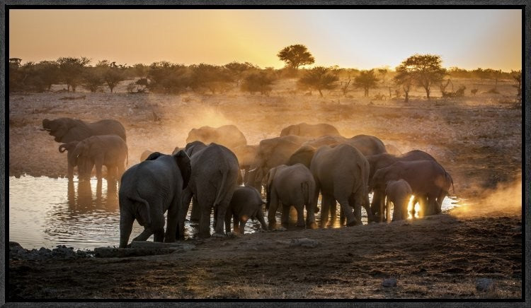 "Elephant Huddle" Framed Canvas Giclee by Simon Van Ooijen, 23x13"