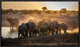 "Elephant Huddle" Framed Canvas Giclee by Simon Van Ooijen, 23x13"