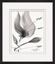 Flourish In Ink 1, Giclee Reproduction Artwork