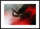"Blood Like Lemonade" Framed Digital Print by Paulo Abrantes, 38"x28"