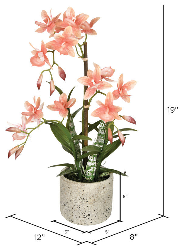 Vickerman 19" Cycnoches in Pot, Orange