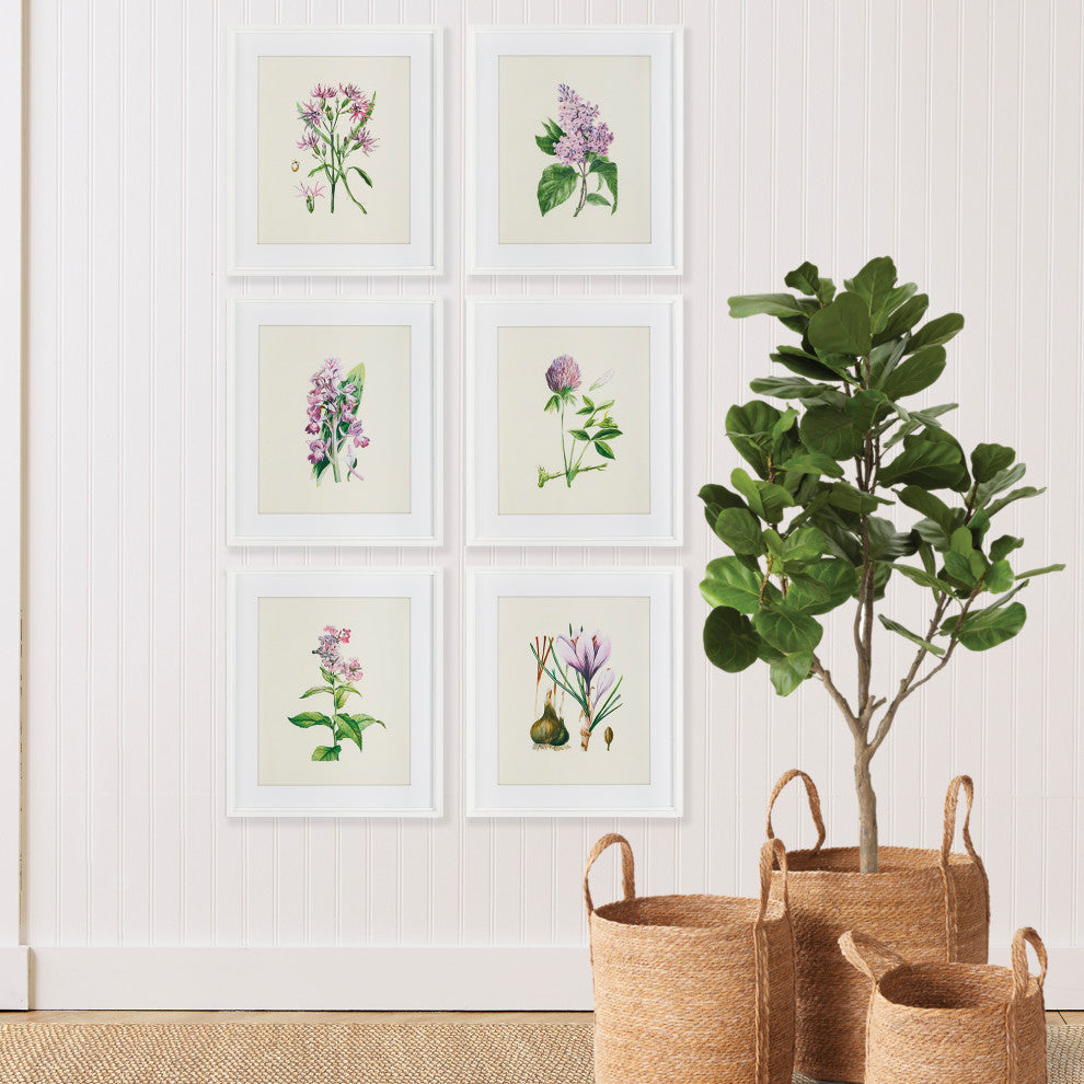 6-Piece Flower Study Print Set
