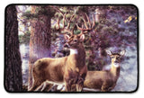 Deer Time Accent Rug, 20"x30"