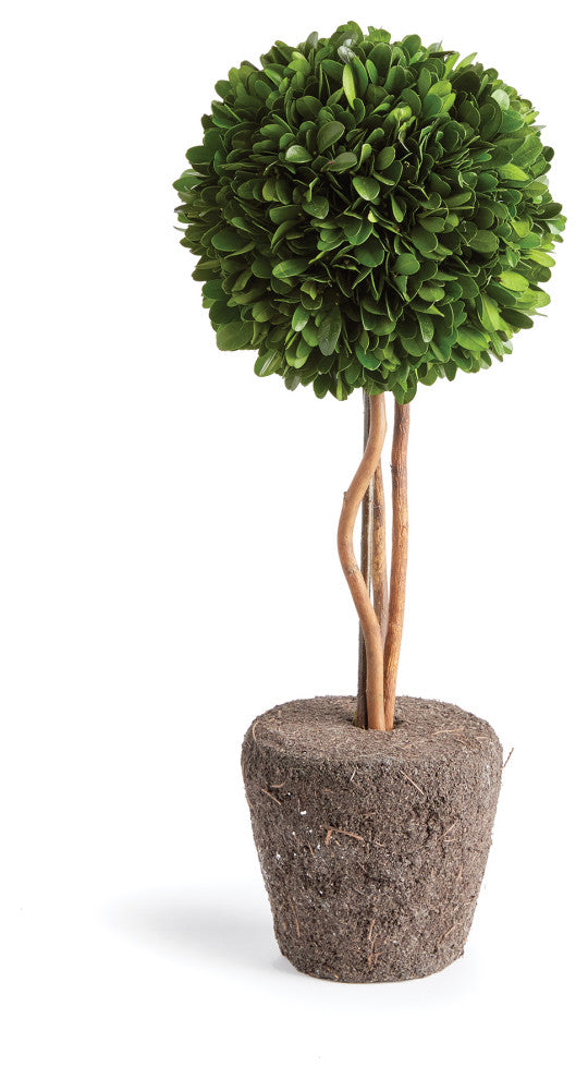 Boxwood Single Sphere Topiary Drop-In, 16"