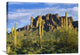 "Saguaro Cacti At Lost Dutchman State Park, Arizona" Artwork