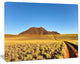 Namibrand Desert Landscape, Landscape Canvas Art Print, 20"x12"