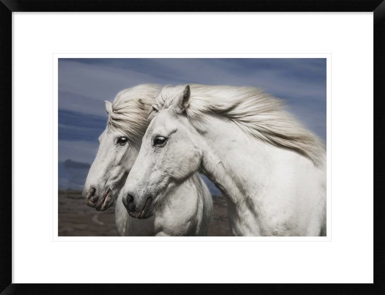 "Blowing" Framed Digital Print by Bragi Ingibergsson, 26"x20"