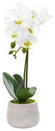 Phalaenopsis Orchid Artificial Arrangement, Set of 2