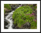 "Porphyry Creek near Silverton, Colorado"  by Tim Fitzharris, 40x32"