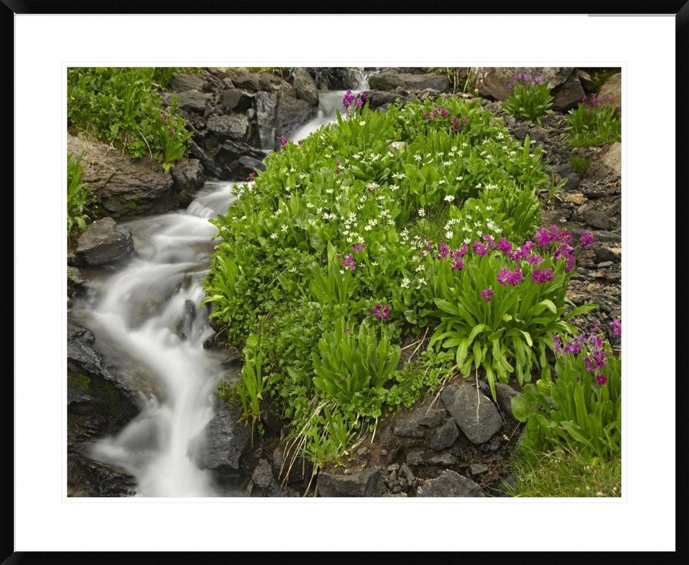 "Porphyry Creek near Silverton, Colorado"  by Tim Fitzharris, 40x32"