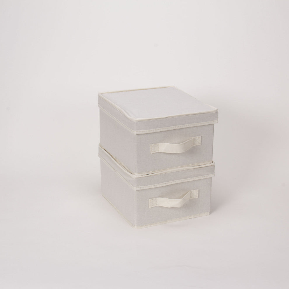Medium Storage Bin With Lid
