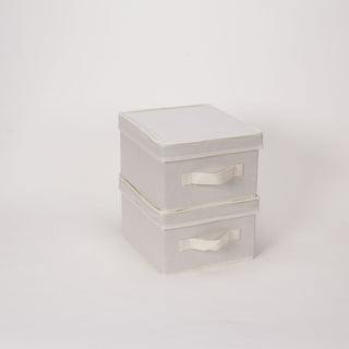 Medium Storage Bin With Lid