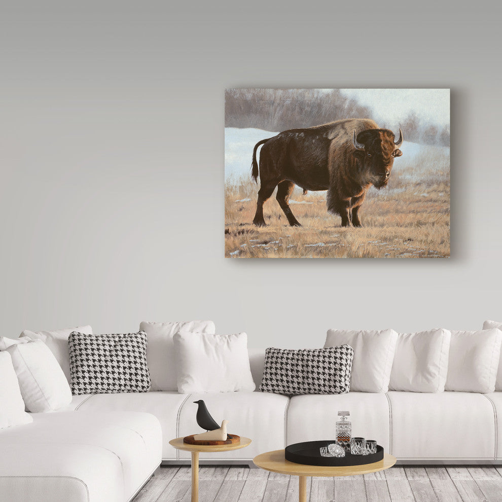 Rusty Frentner 'Bison' Canvas Art, 24"x18"