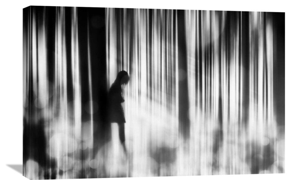 "Caught In The Sorrow" Stretched Canvas Giclee by Stefan Eisele, 30"x20"
