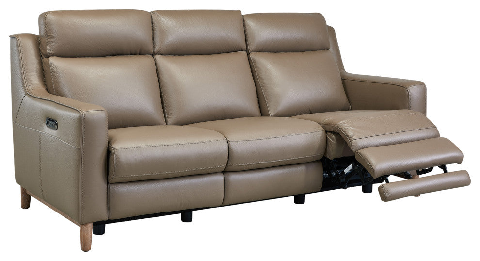 Wisteria Contemporary Sofa In Light Brown Wood Finish And Taupe Genuine Leather