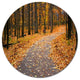 Autumn Walk Way With Fallen Leaves, Forest Disc Metal Artwork, 11"